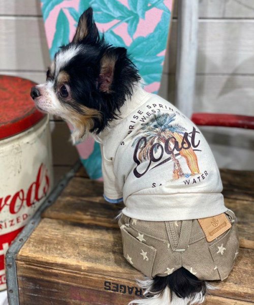 画像7: 【as know as de wan】Ｎ☆ＣパームシャツッＴ (7)