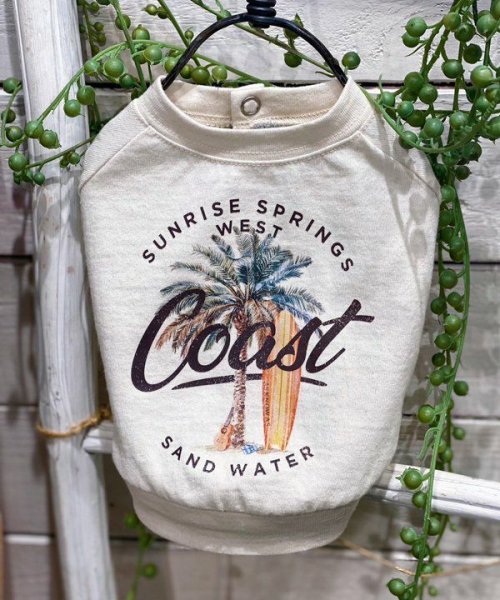 画像12: 【as know as de wan】Ｎ☆ＣパームシャツッＴ (12)