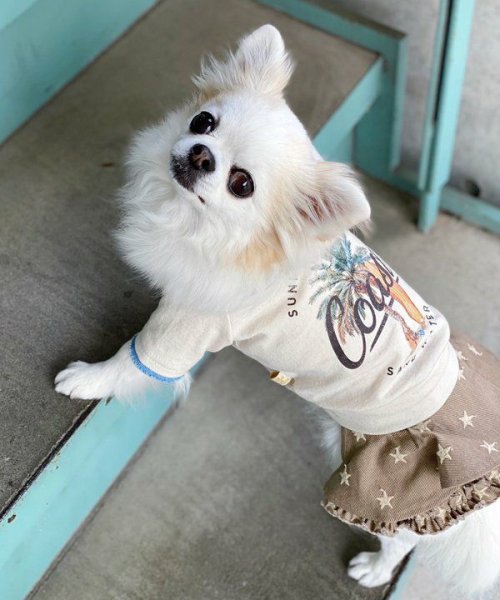 画像5: 【as know as de wan】Ｎ☆ＣパームシャツッＴ (5)