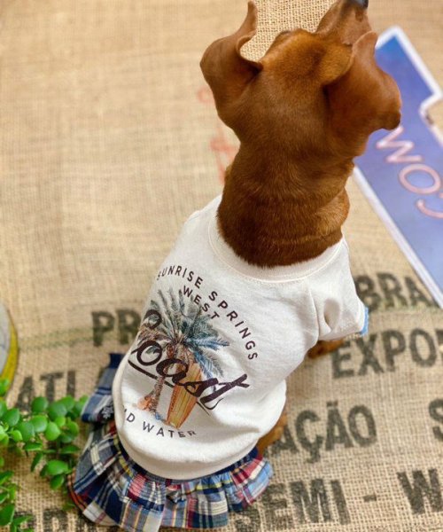 画像5: 【as know as de wan】ＮパッチワークＳＫ (5)