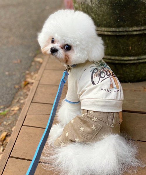 画像6: 【as know as de wan】Ｎ☆ＣパームシャツッＴ (6)