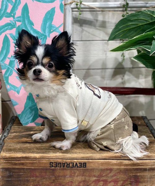 画像8: 【as know as de wan】Ｎ☆ＣパームシャツッＴ (8)