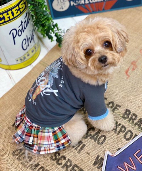 画像9: 【as know as de wan】ＮパッチワークＳＫ (9)