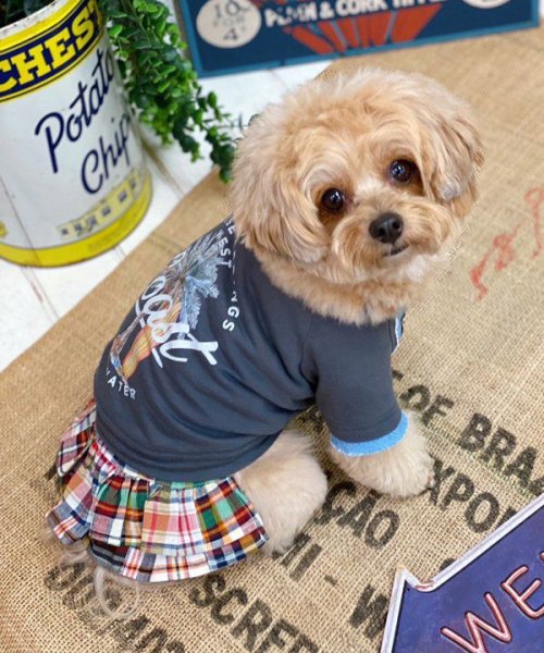 画像17: 【as know as de wan】Ｎ☆ＣパームシャツッＴ (17)