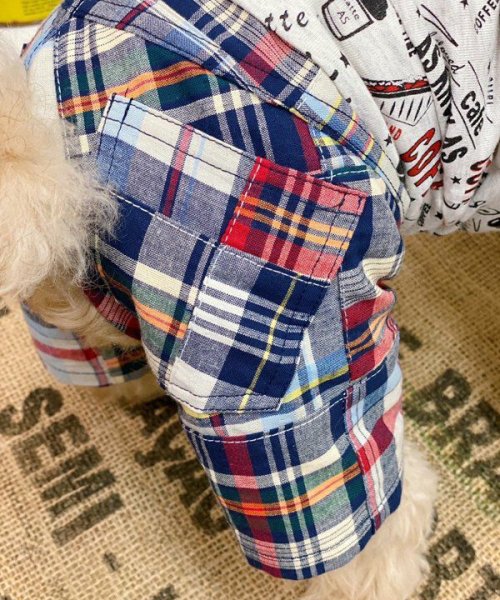 画像5: 【as know as de wan】ＮパッチワークＰＴ (5)