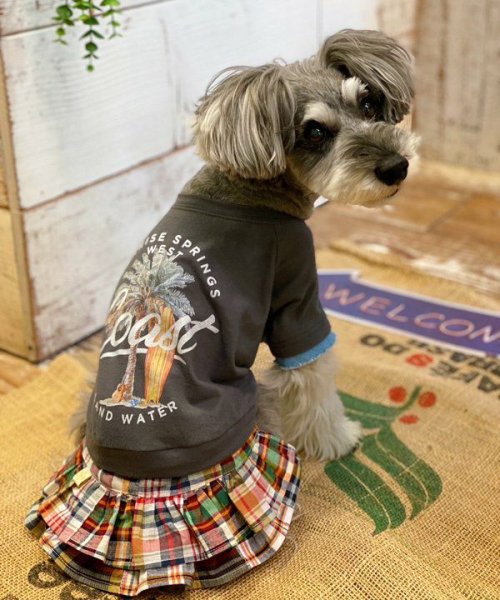 画像15: 【as know as de wan】Ｎ☆ＣパームシャツッＴ (15)