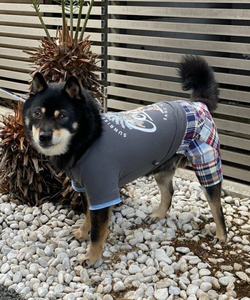 画像19: 【as know as de wan】Ｎ☆ＣパームシャツッＴ (19)