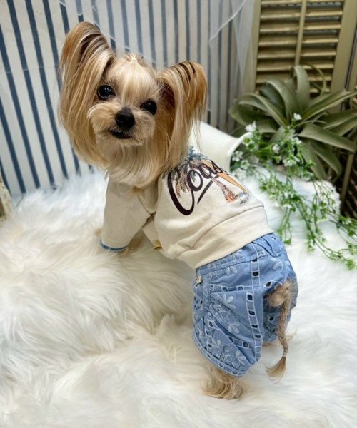 画像2: 【as know as de wan】Ｎ☆ＣパームシャツッＴ (2)