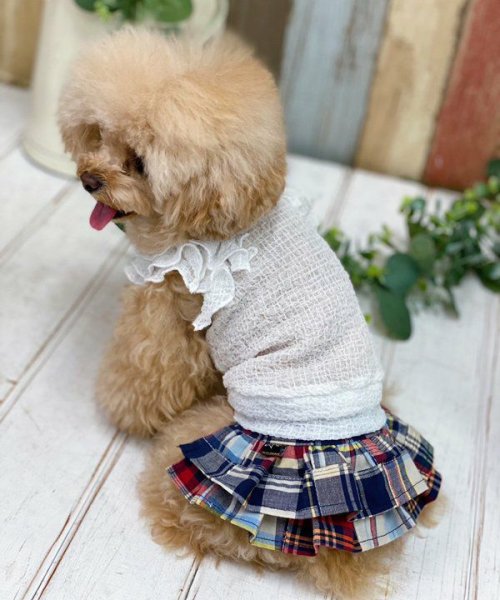 画像4: 【as know as de wan】ＮパッチワークＳＫ (4)