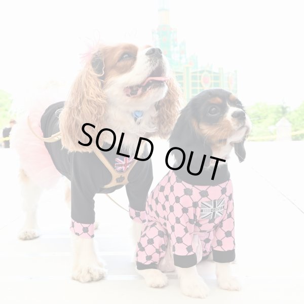 画像5: 	 ★9月新作★ 【キャバスーツFRILL 】Wrapped in Roses（ラッピンローズ） (5)