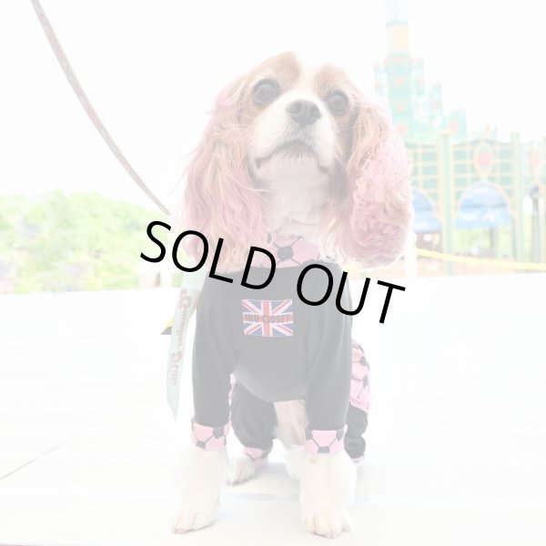 画像4: 	 ★9月新作★ 【キャバスーツFRILL 】Wrapped in Roses（ラッピンローズ） (4)