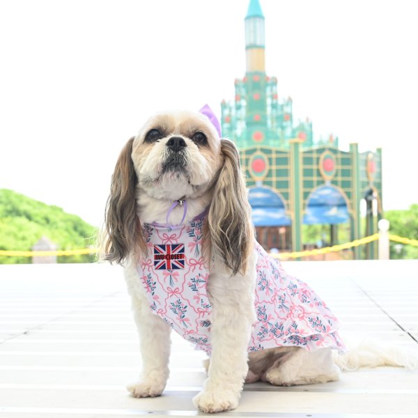 画像2:  6月新作 【キャバスーツ ワンピ】Elegant Bouguet（エレガントブーケ） (2)