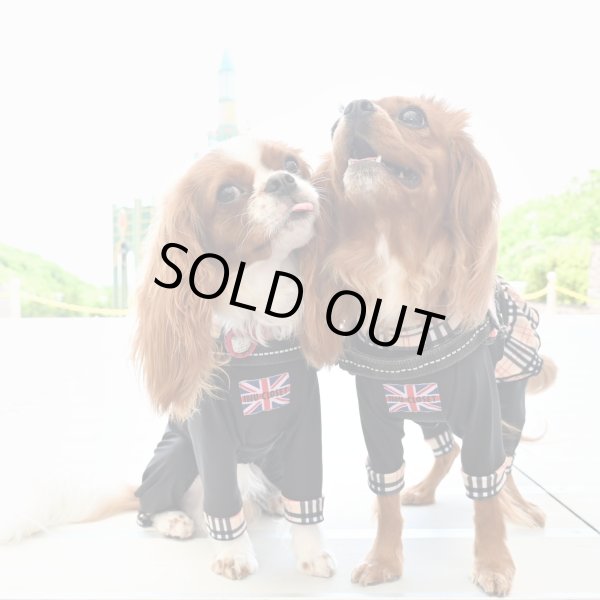 画像4:  ★9月新作★【キャバスーツFRILL】Old Street（オールドストリート） (4)