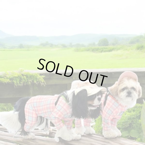 画像2: 【キャバスーツ LIMITED】Fruits Basket（フルーツバスケット） (2)