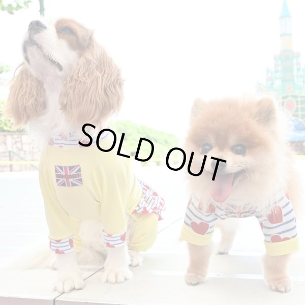 画像2: ★50%OFF★【CAVA TEE】Melody Line（メロディーライン） (2)