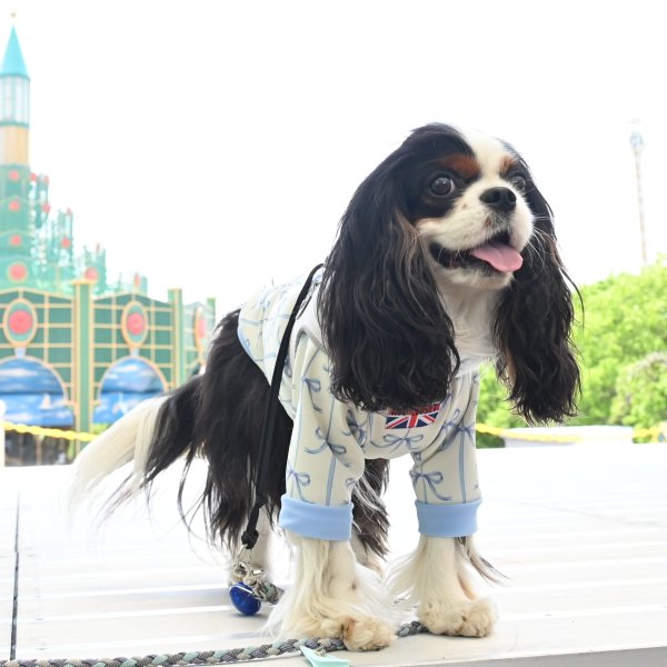 画像2:  6月新作 【CAVA TEE】SUMMER GIFT（サマーギフト） (2)