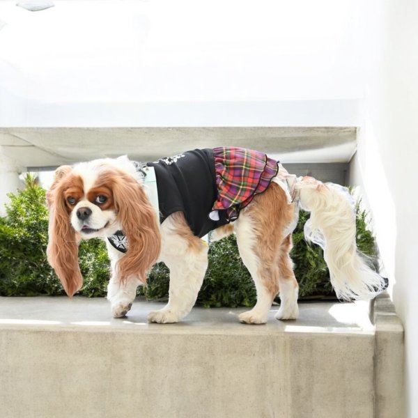 画像4:  ★9月新作★  【注文受付中】 【キャバスーツ ワンピ】Little Rock（リトルロック） (4)