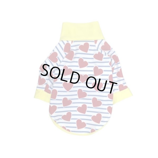 画像3: ★50%OFF★【CAVA TEE】Melody Line（メロディーライン） (3)