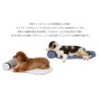 画像16: ICY COZY MINI MAT (16)