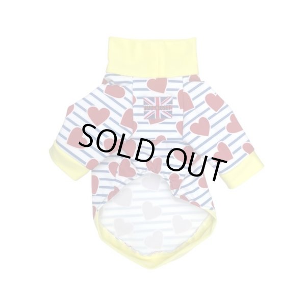 画像4: ★50%OFF★【CAVA TEE】Melody Line（メロディーライン） (4)