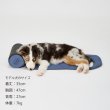 画像11: ICY COZY MINI MAT (11)