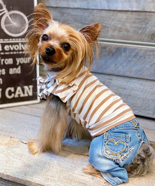 画像9: 【as know as de wan】ＮＣボーダーフリフリＴＫ (9)