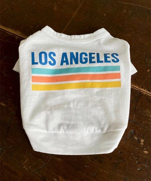 画像5: 【as know as de wan】ＮUVロサンゼルスＴ (5)