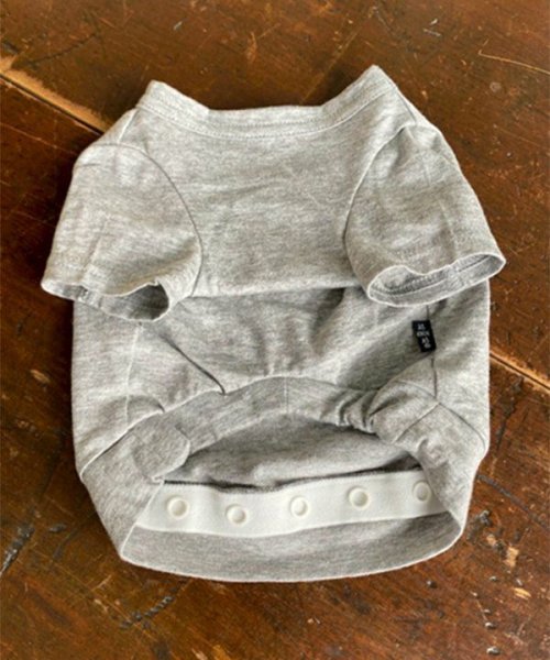 画像12: 【as know as de wan】ＮUVロサンゼルスＴ (12)