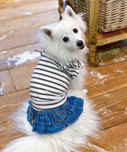 画像4: 【as know as de wan】ＮＣボーダーフリフリＴＫ (4)