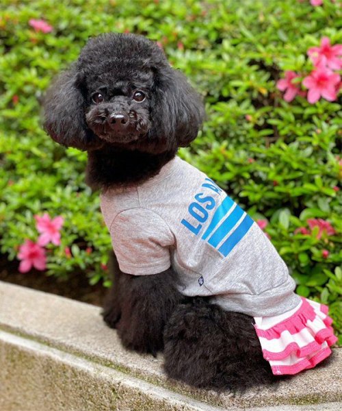 画像7: 【as know as de wan】ＮUVロサンゼルスＴ (7)