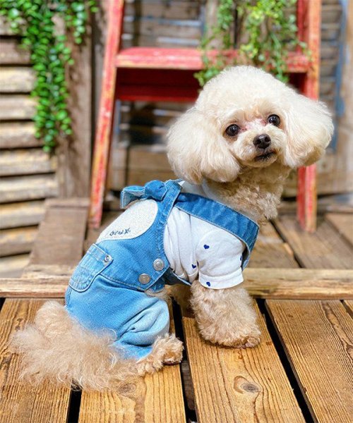 画像3: 【as know as de wan】ＮＣハートハートＴ (3)