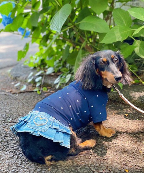 画像6: 【as know as de wan】ＮＣハートハートＴ (6)