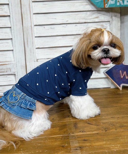 画像9: 【as know as de wan】ＮＣハートハートＴ (9)