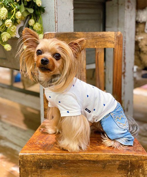 画像2: 【as know as de wan】ＮＣハートハートＴ (2)