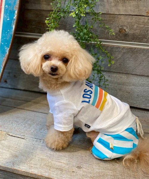 画像4: 【as know as de wan】ＮUVロサンゼルスＴ (4)