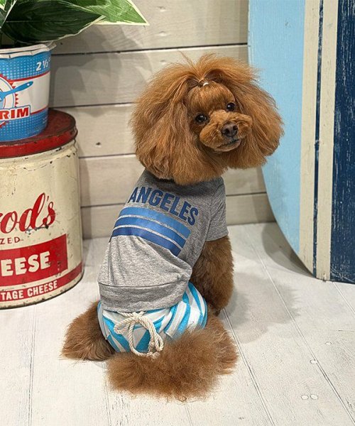 画像10: 【as know as de wan】ＮUVロサンゼルスＴ (10)