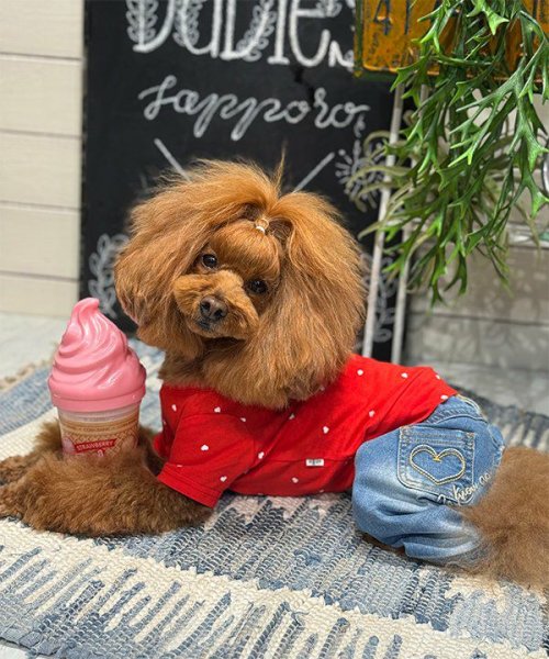 画像14: 【as know as de wan】ＮＣハートハートＴ (14)