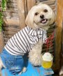 画像6: 【as know as de wan】ＮＣボーダーフリフリＴＫ (6)
