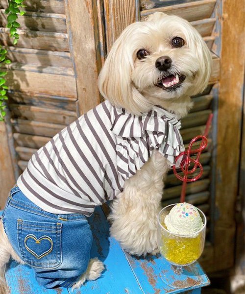 画像6: 【as know as de wan】ＮＣボーダーフリフリＴＫ (6)