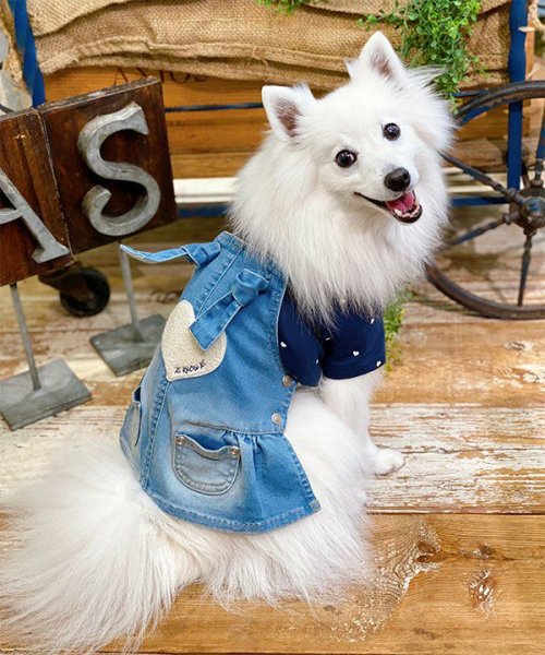 画像10: 【as know as de wan】ＮＣハートハートＴ (10)