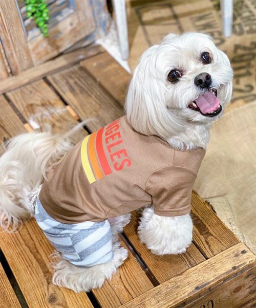 画像16: 【as know as de wan】ＮUVロサンゼルスＴ (16)