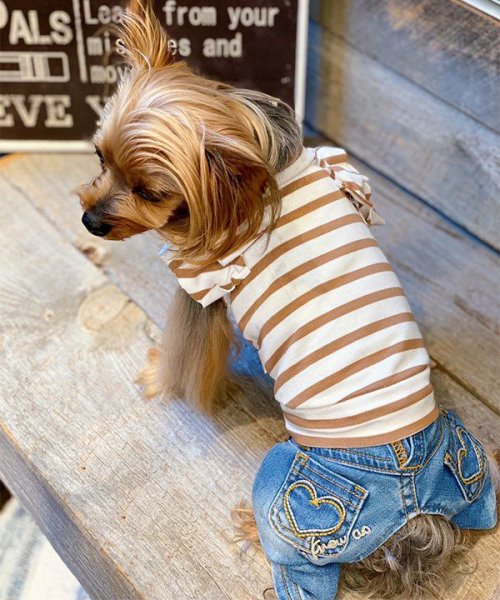 画像11: 【as know as de wan】ＮＣボーダーフリフリＴＫ (11)