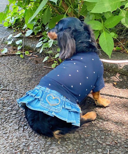 画像7: 【as know as de wan】ＮＣハートハートＴ (7)