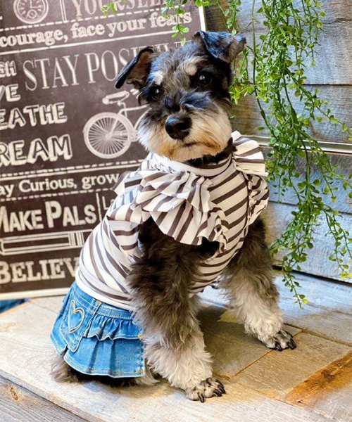 画像2: 【as know as de wan】ＮＣボーダーフリフリＴＫ (2)