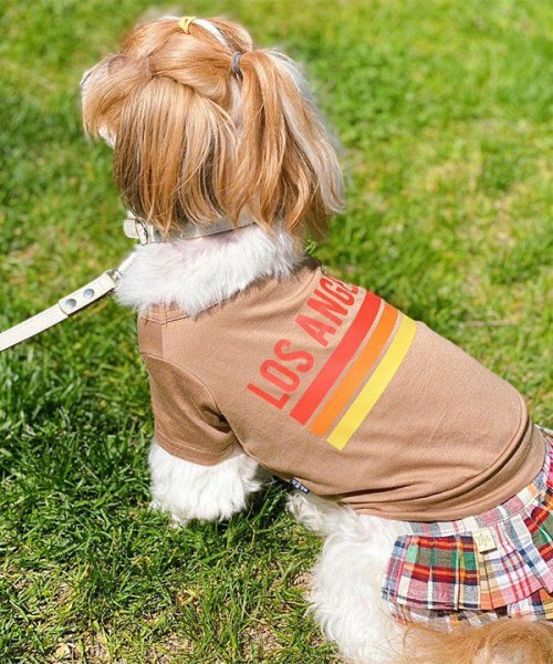 画像14: 【as know as de wan】ＮUVロサンゼルスＴ (14)