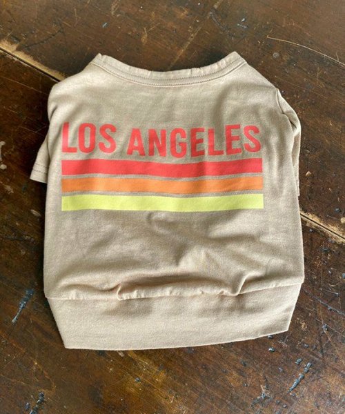 画像18: 【as know as de wan】ＮUVロサンゼルスＴ (18)