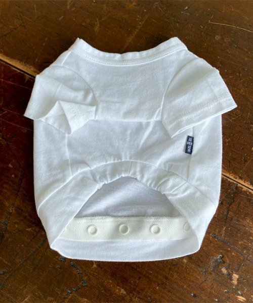 画像6: 【as know as de wan】ＮUVロサンゼルスＴ (6)