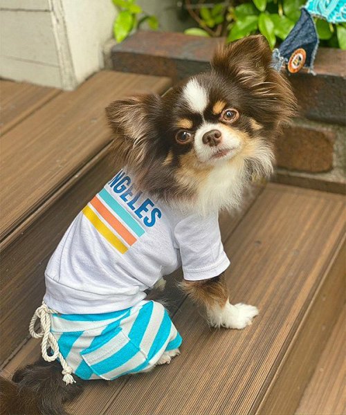 画像2: 【as know as de wan】ＮUVロサンゼルスＴ (2)