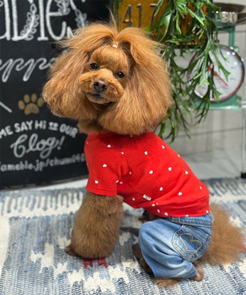 画像13: 【as know as de wan】ＮＣハートハートＴ (13)