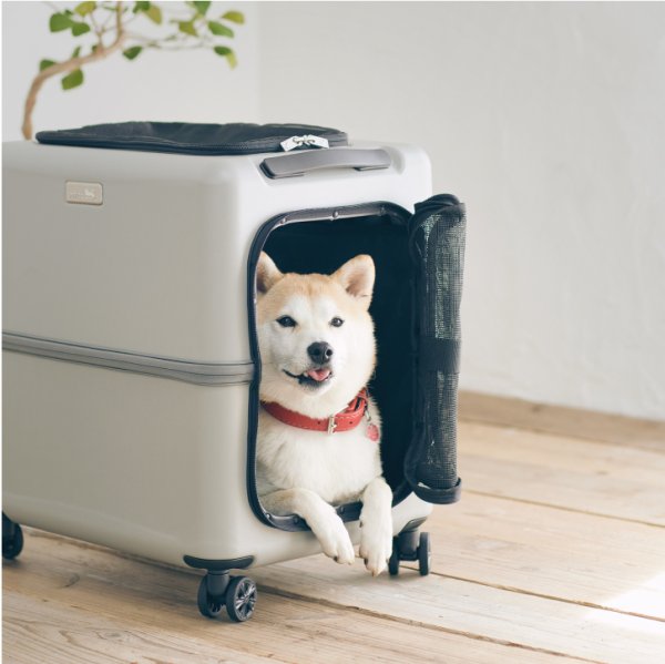 画像4:  【期間限定キャバヒルステッカー付】 PETiCOのペットキャリー「ico」 (4)